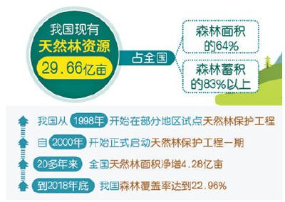 金多寶論壇一碼資料大全,穩(wěn)健設(shè)計(jì)策略_IWQ29.941天然版