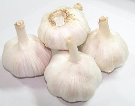 大蒜最新價格動態(tài)揭秘，科技引領(lǐng)大蒜市場，大蒜110網(wǎng)實(shí)時更新價格信息