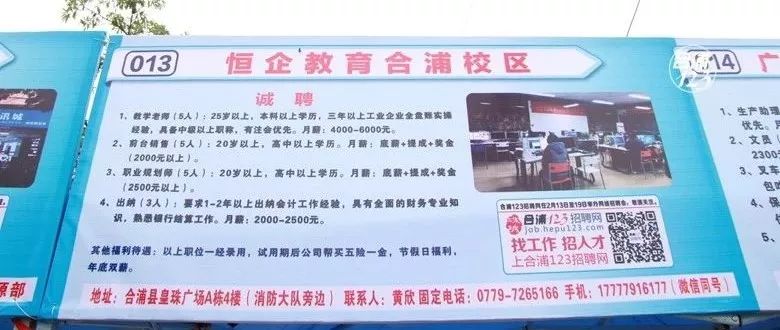 園洲最新招聘信息，時代的脈搏與人才的交匯舞臺