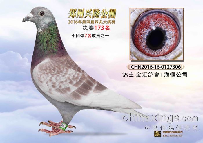 鄭州興隆公棚最新公告揭秘，賽事更新、規(guī)則調(diào)整及未來展望展望