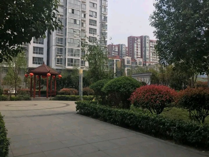 河南桐柏最新房?jī)r(jià)揭秘，溫馨家園的遇見與故事