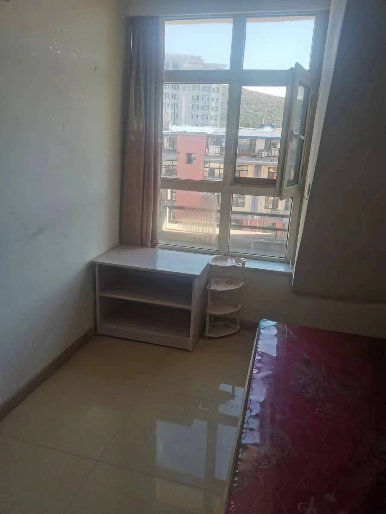 阿城最新房屋出租，家的溫馨與奇遇的友情之旅