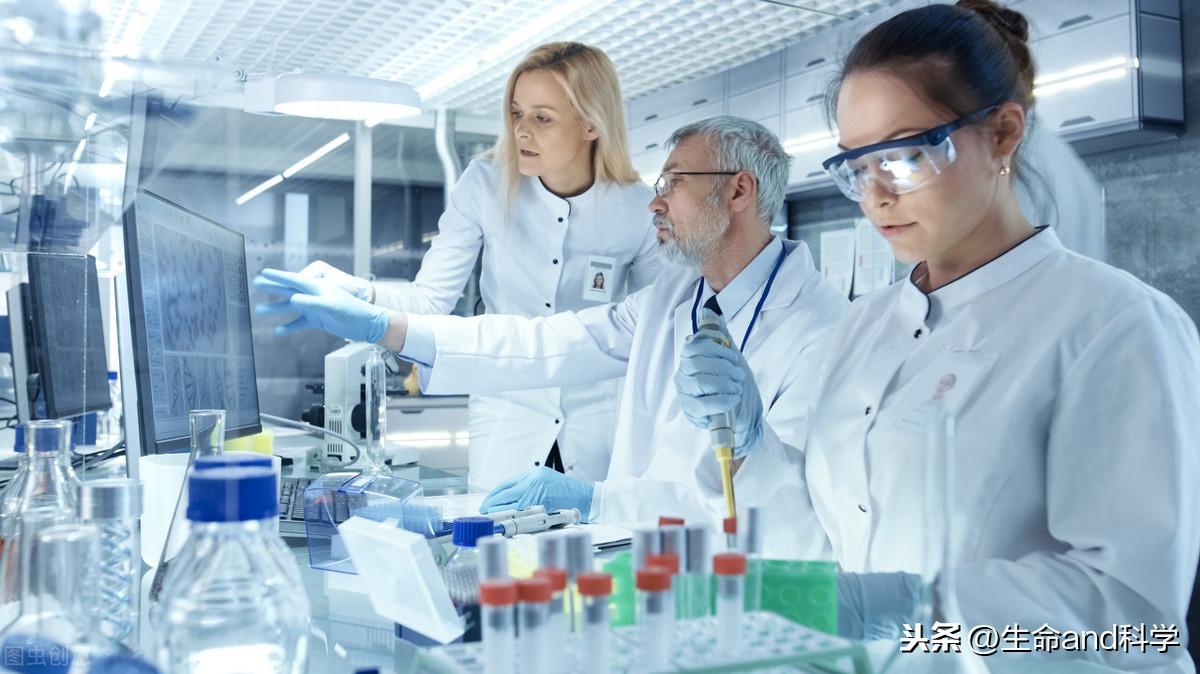 美國流感死亡人數(shù)最新數(shù)據(jù)（2024年觀點論述）