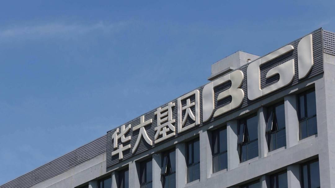 華大基因上市最新動(dòng)態(tài)，基因之城的歡慶頌歌