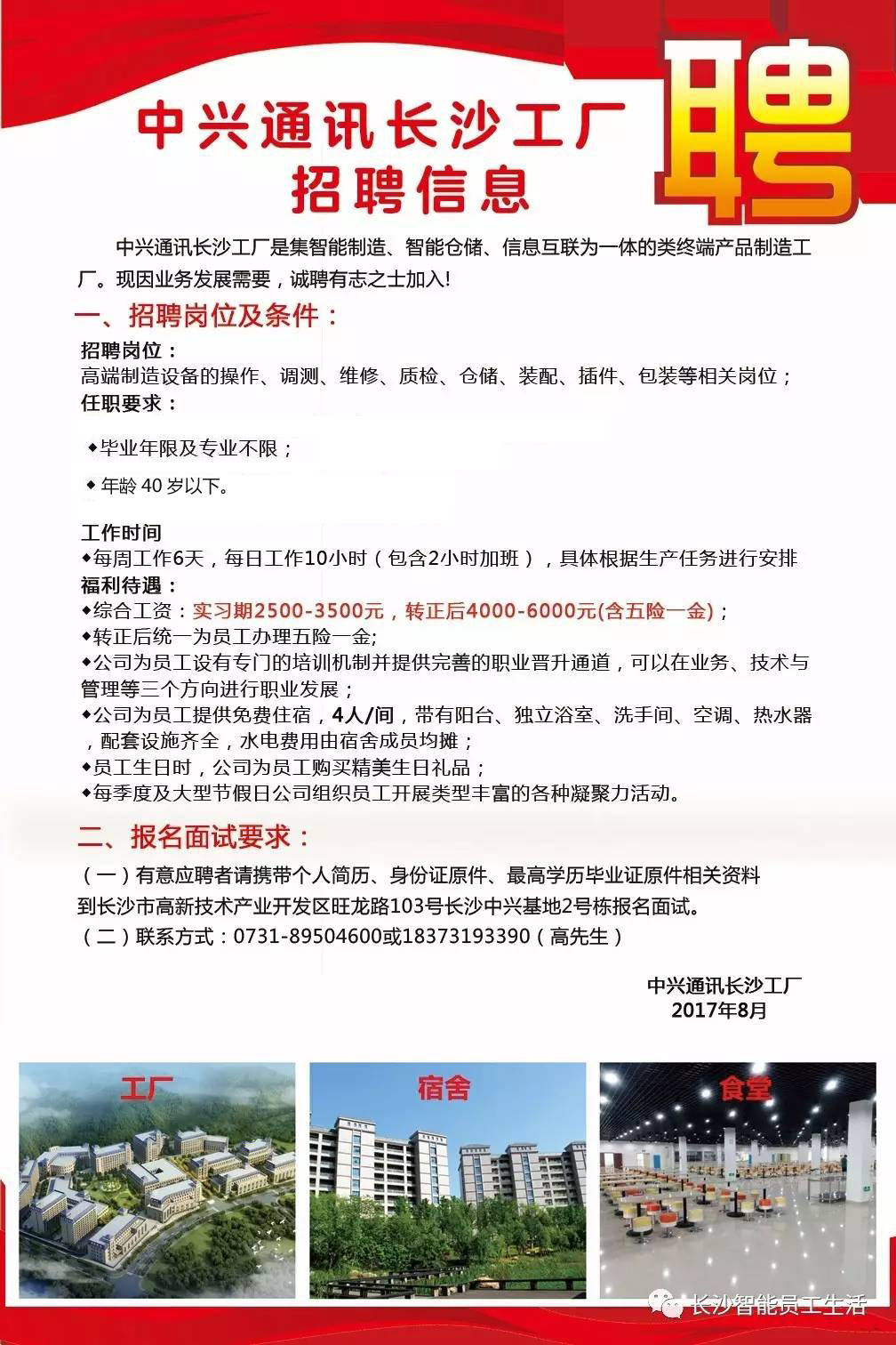 深圳中興最新招聘信息揭秘，職場(chǎng)小幸運(yùn)的日常故事開啟招聘大門