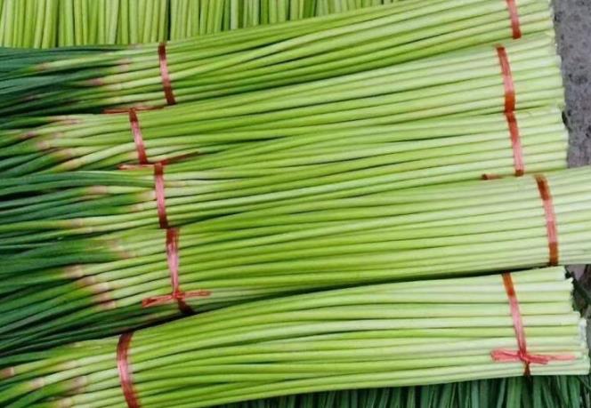 探秘小巷深處的蒜香秘境，揭秘2024年蒜苔最新價(jià)格