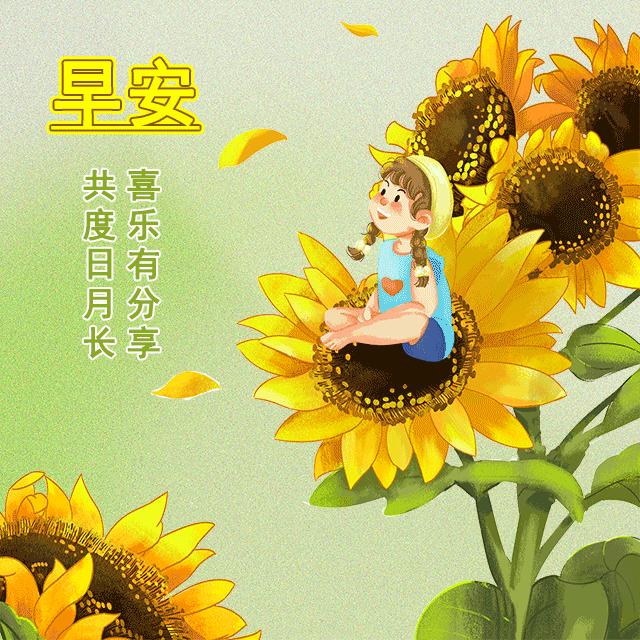 最新動態(tài)早上好圖，獨特日常問候方式