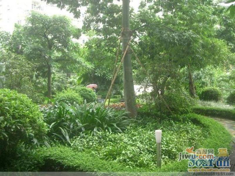 武陟華夏新城崛起與蛻變，最新動(dòng)態(tài)揭示一座城市的蓬勃發(fā)展