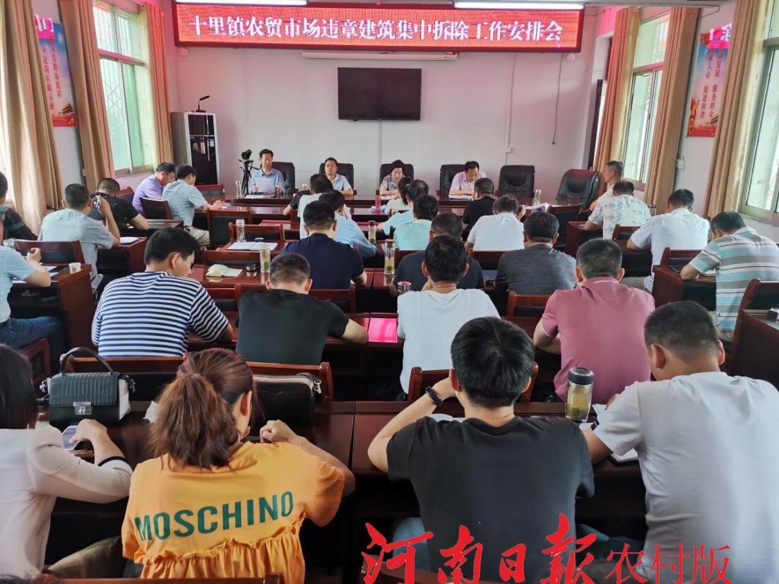 光山新聞最新動態(tài)，十里友情之光與日常趣事聚焦