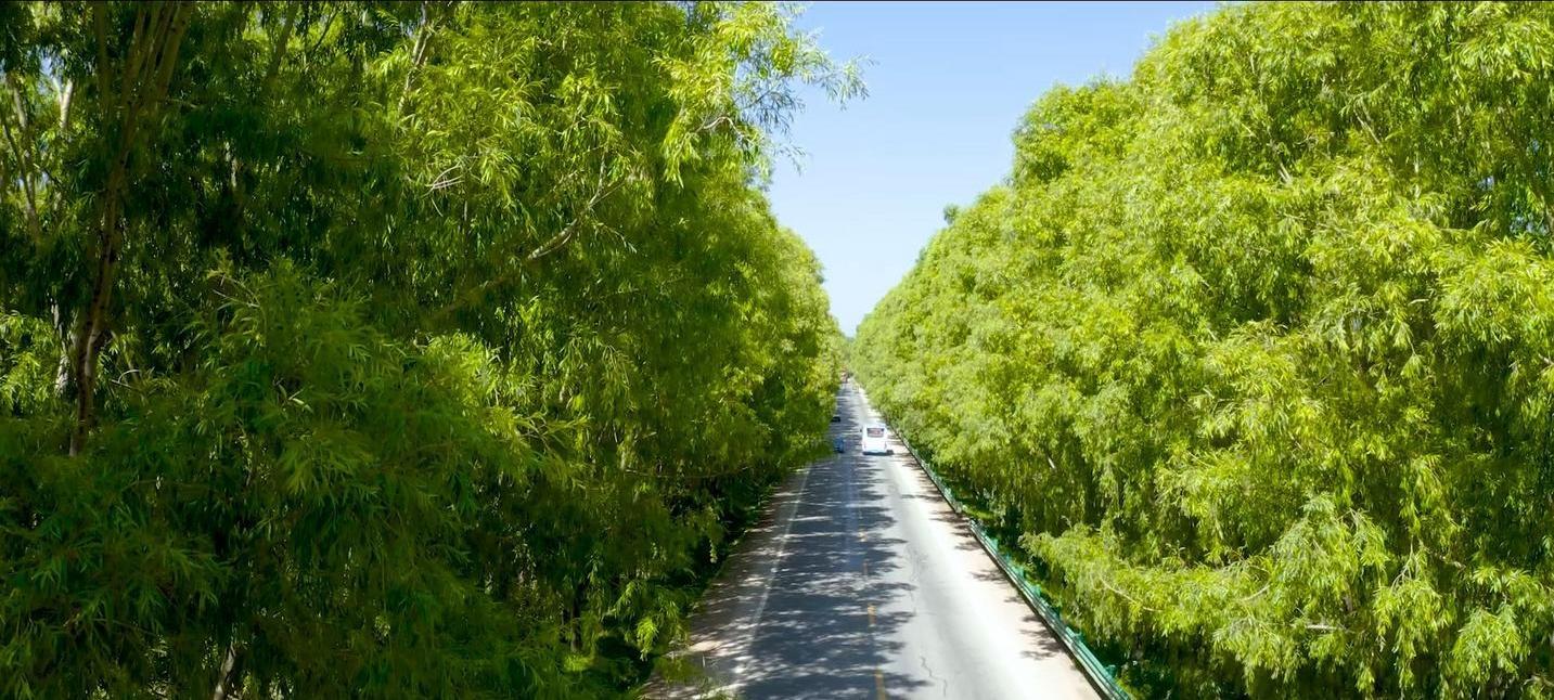 廣河高速車禍實時更新，最新消息匯總