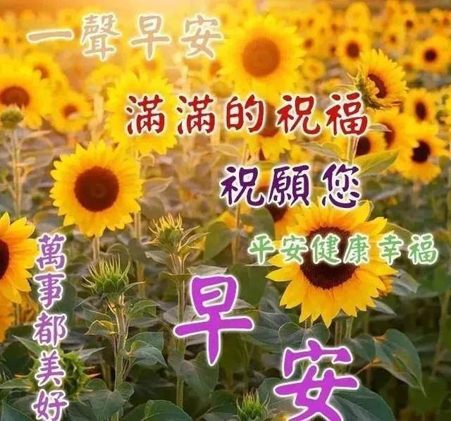 早上好溫馨祝福與步驟指南
