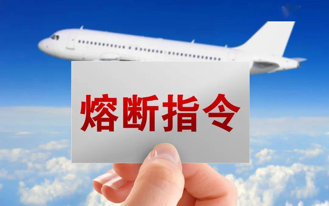 最新航班熔斷指令，逆風(fēng)中的翱翔，開啟無限可能之旅
