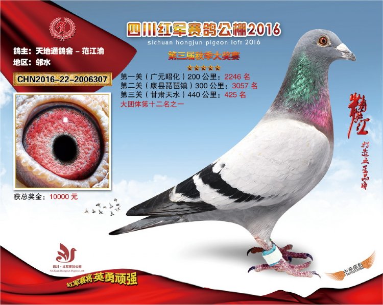 紅軍公棚最新公告解讀與觀點(diǎn)闡述