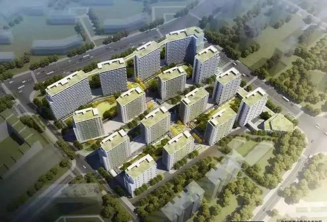 臨海最新動態(tài)更新