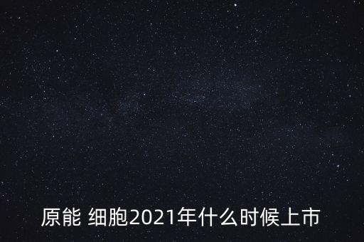 原能細(xì)胞上市，小巷中的神秘寶藏探索，特色小店的未知之旅