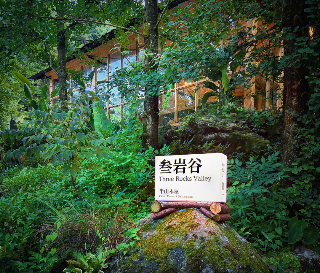 泰木谷使用指南，從初學(xué)者到進(jìn)階用戶(hù)的全面指南