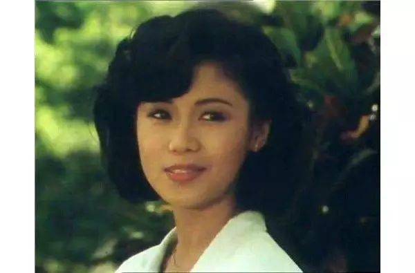 人在旅途電視劇主題曲，時(shí)代旋律與心靈回響的交融之旅