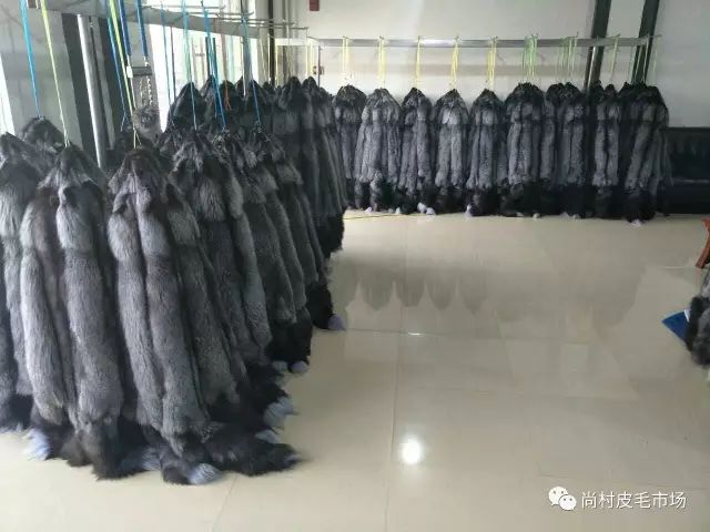 尚村水貂皮毛最新價格，與自然美景的邂逅與內(nèi)心平和寧靜的追尋