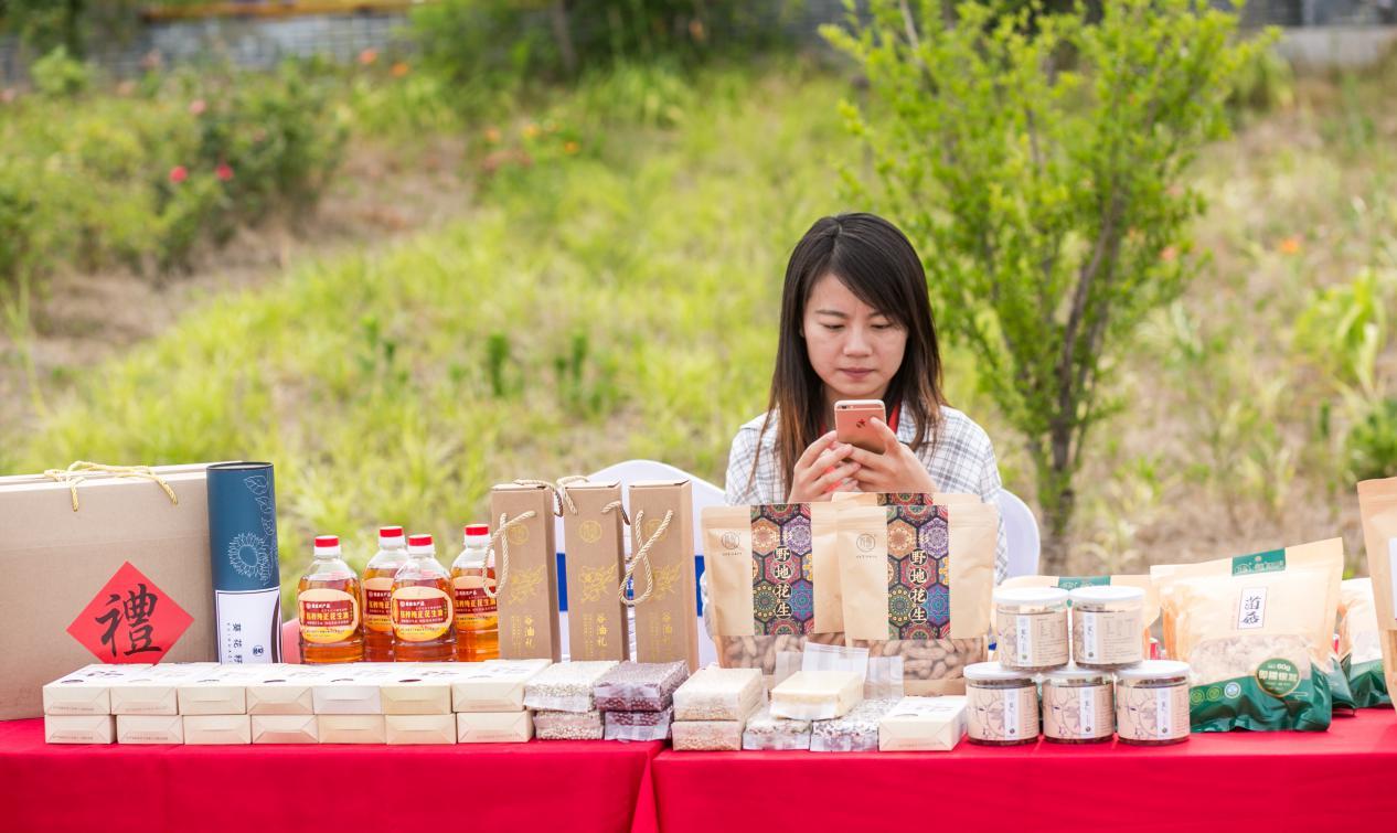 盛大發(fā)展歷程探究，現(xiàn)狀與發(fā)展之路