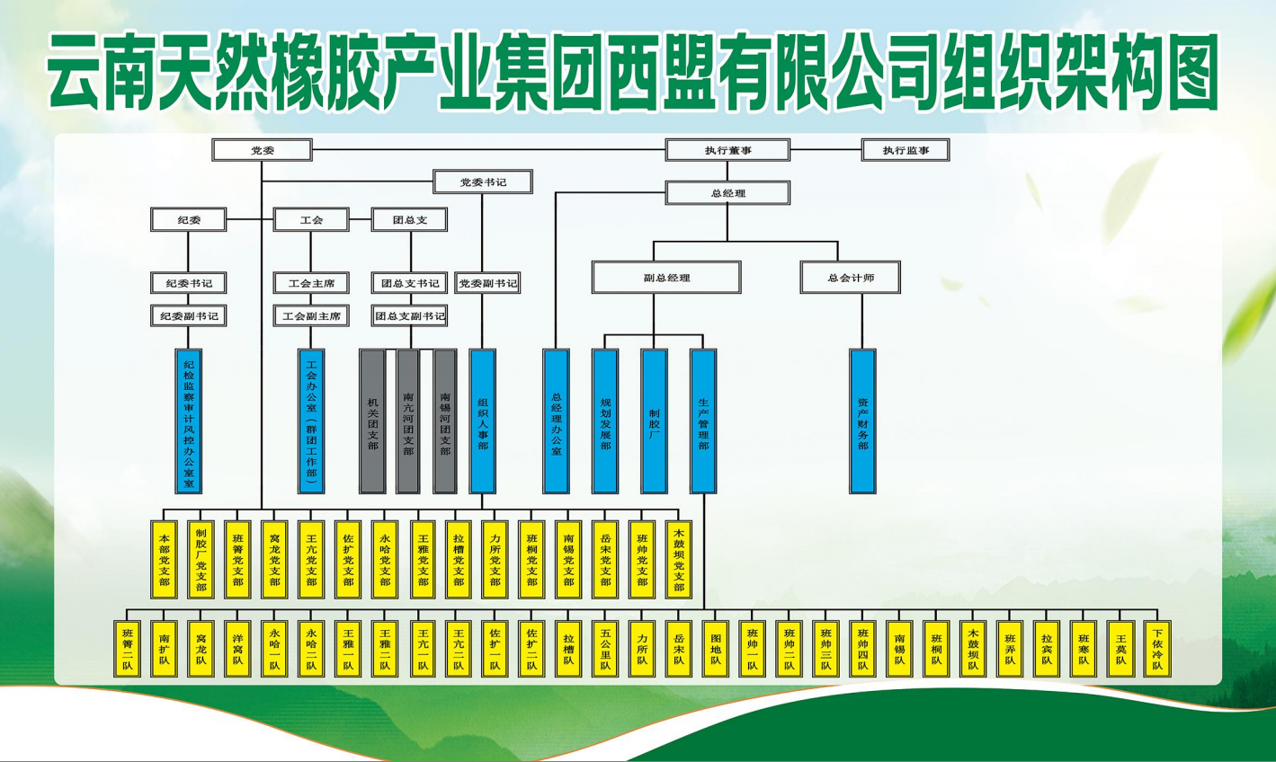 云南天然橡膠最新價(jià)格，探索橡膠產(chǎn)業(yè)背后的溫情故事