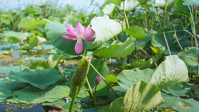 尤柔美最新變化，自信與成就感的源泉，展現(xiàn)力量的魅力