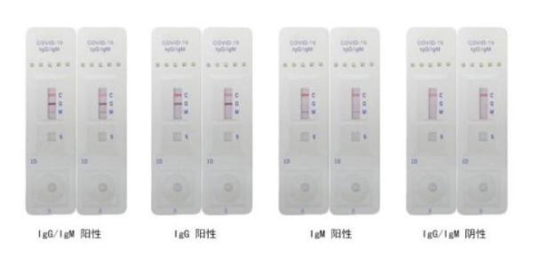 浙江最新抗體引領(lǐng)健康革命新篇章！