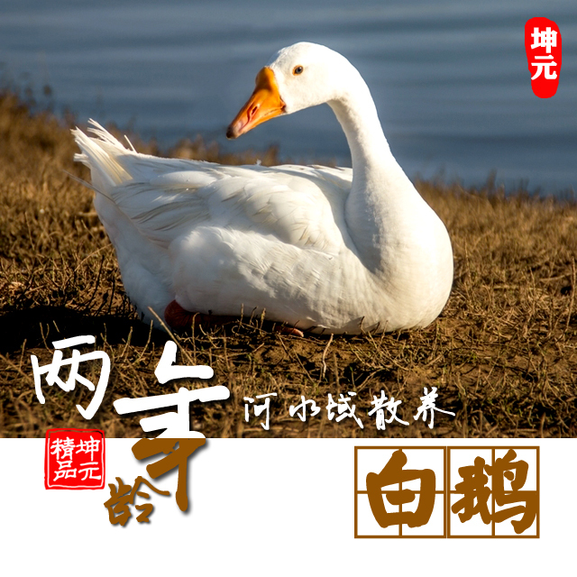 經(jīng)典美食老鵝的演變與探索之路
