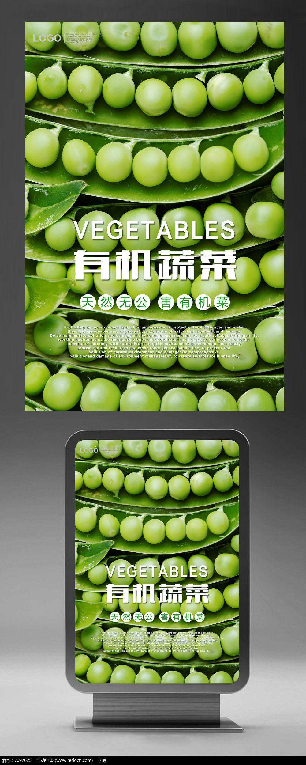 扁豆最新報(bào)價(jià)，市場(chǎng)走勢(shì)分析與選購(gòu)指南