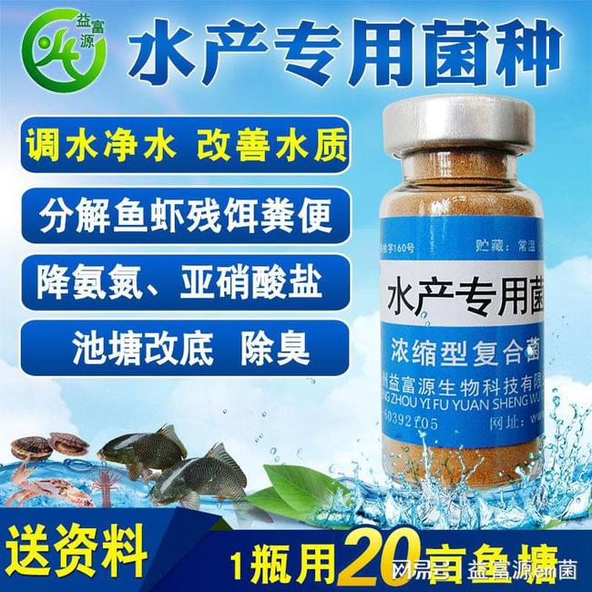 碘制劑最新進(jìn)展，小巷深處的神秘寶藏探索