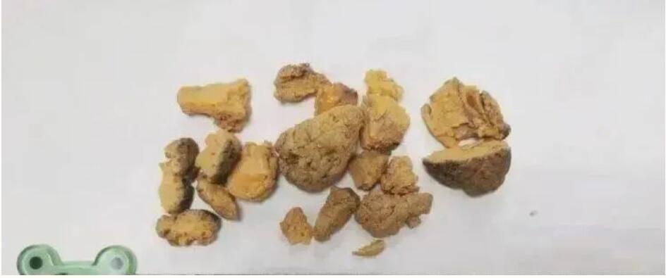 最新鴿子術(shù)引領(lǐng)未來(lái)生活變革，高科技產(chǎn)品帶來(lái)前所未有的體驗(yàn)