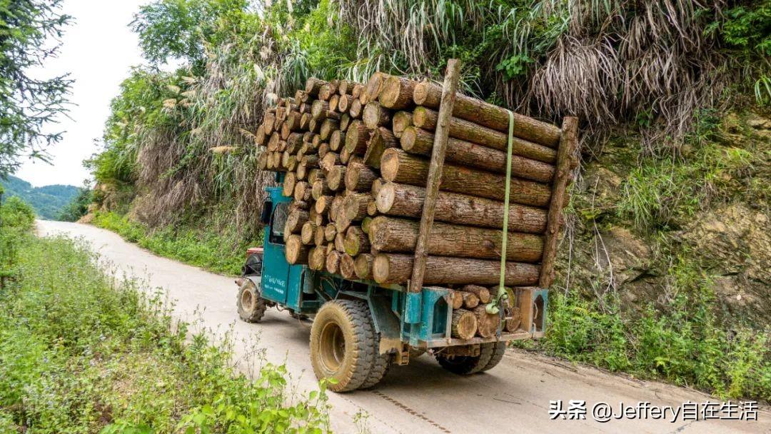 梅子鎮(zhèn)，自然美景的探索之旅，尋找內(nèi)心的平和與喜悅