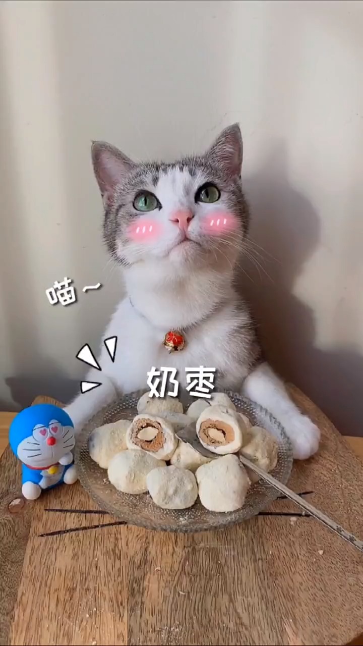 最新聲控喵，自然美景探險之旅，尋找內(nèi)心的平和與寧靜